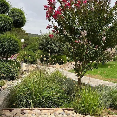 Les Jardins De Santa Giulia - Charmante D'hote 1 ゲストハウス ポルトヴェッキオ