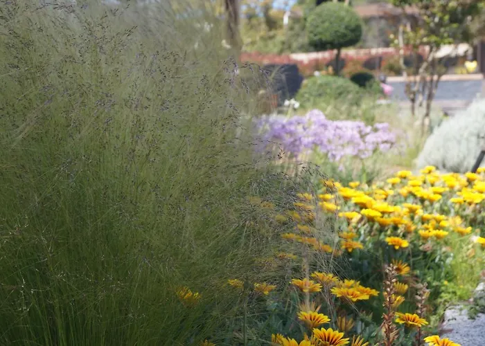 Gasthuis Les Jardins De Santa Giulia - Charmante Dhte 1 Porto-Vecchio (Corsica)