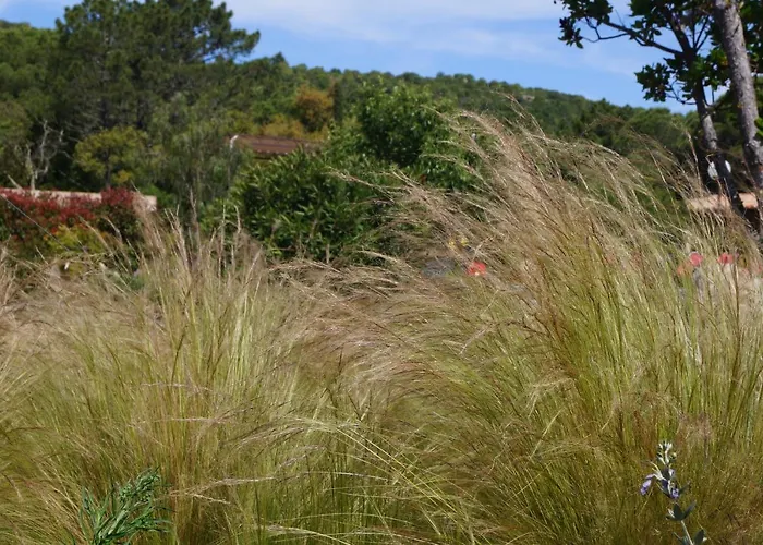Les Jardins De Santa Giulia - Charmante Dhte 1
